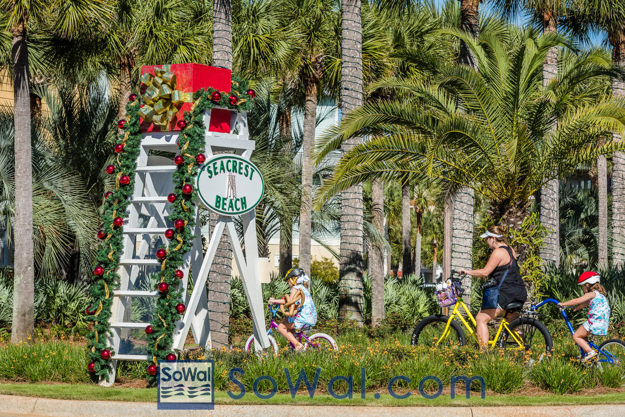 151128-seacrest-008-sowal-2000.jpg