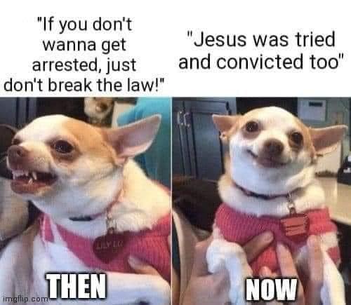 1718399782713.jpeg