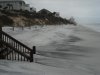 DSC00537.jpg