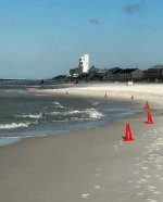 Save Our Beaches.jpg