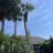 CoastalPalms